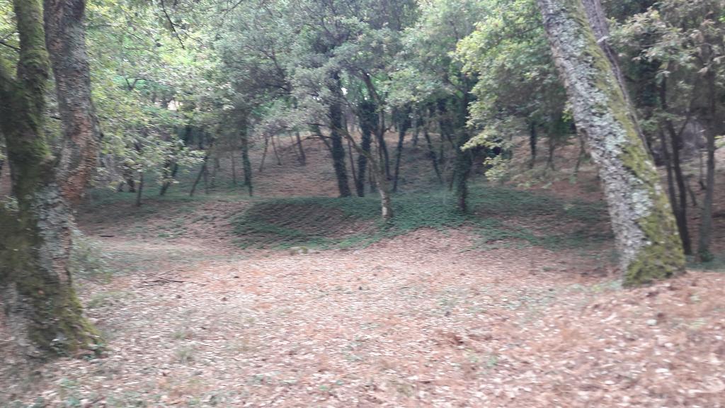 Quinta Vale Do Nox Villa Serrazes Екстериор снимка